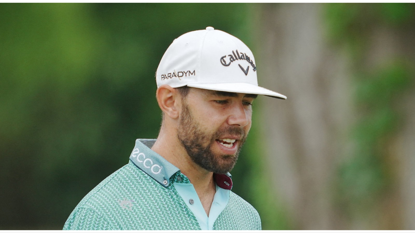 PGA Tour pro hilariously describes bee attack: "BEES! BEES! BEES!" 